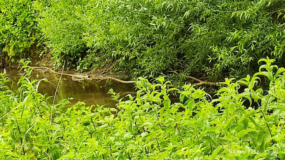 Vente Maison ANCIEN MOULIN avec rivière Vitry-le-françois