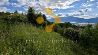  Terrain � vendre 2417 m�