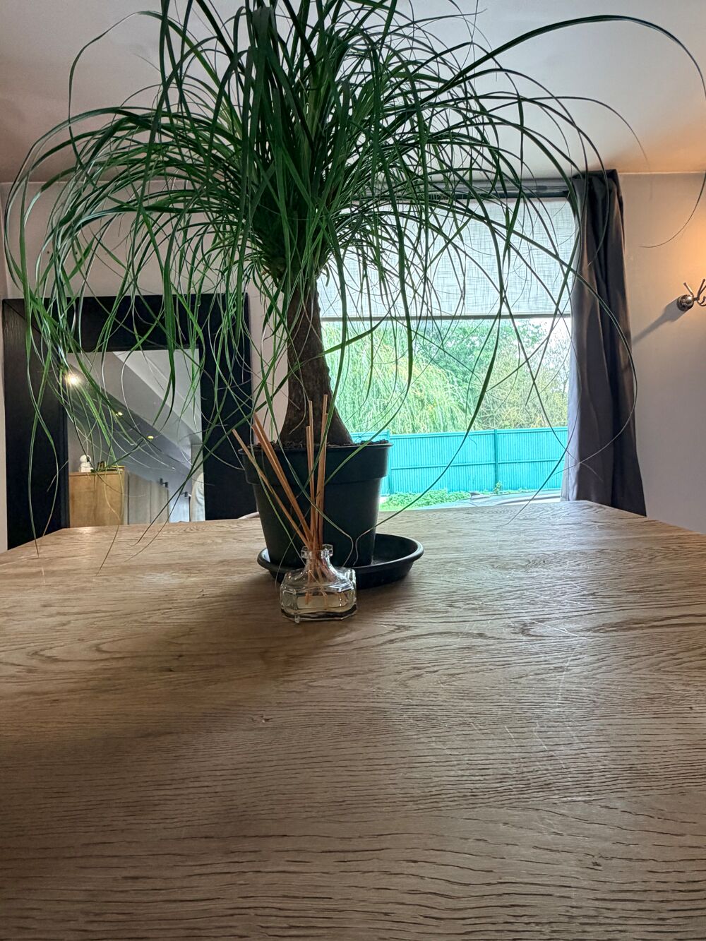 Vente Maison Thumeries - Maison atypique avec extérieur à aménager Thumeries