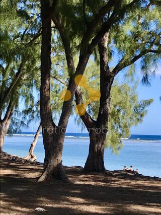  Appartement � vendre 2 pi�ces 54 m�