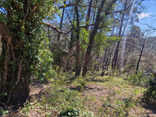  Terrain � vendre 1593 m�