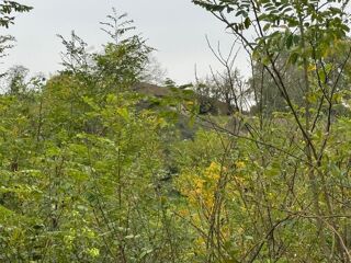  Terrain  vendre 98000 m