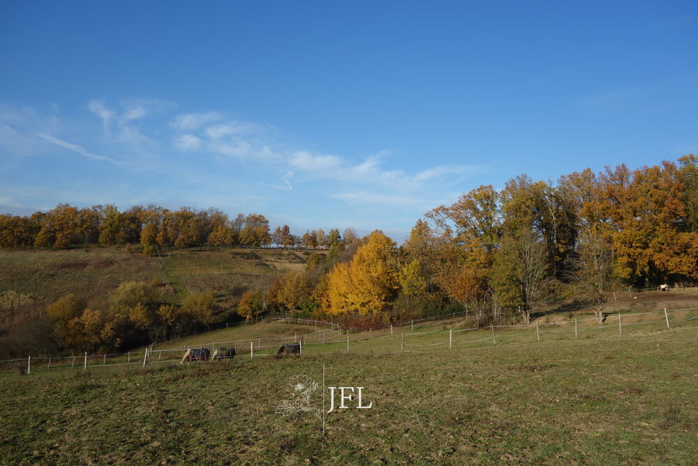 Vente Maison Propriété équestre sur 8 hectares ? Proche Montauban Castelsarrasin