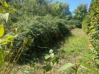  Terrain � vendre 1196 m�