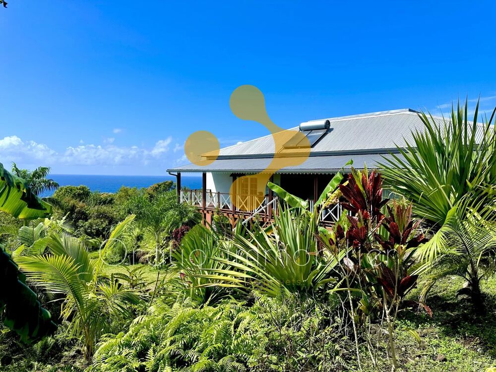 Vente Maison Tropicalement vôtre : Magnifique villa dans le Sud sauvage. Saint-philippe