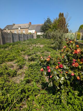  Maison � vendre 3 pi�ces 64 m� Merdrignac