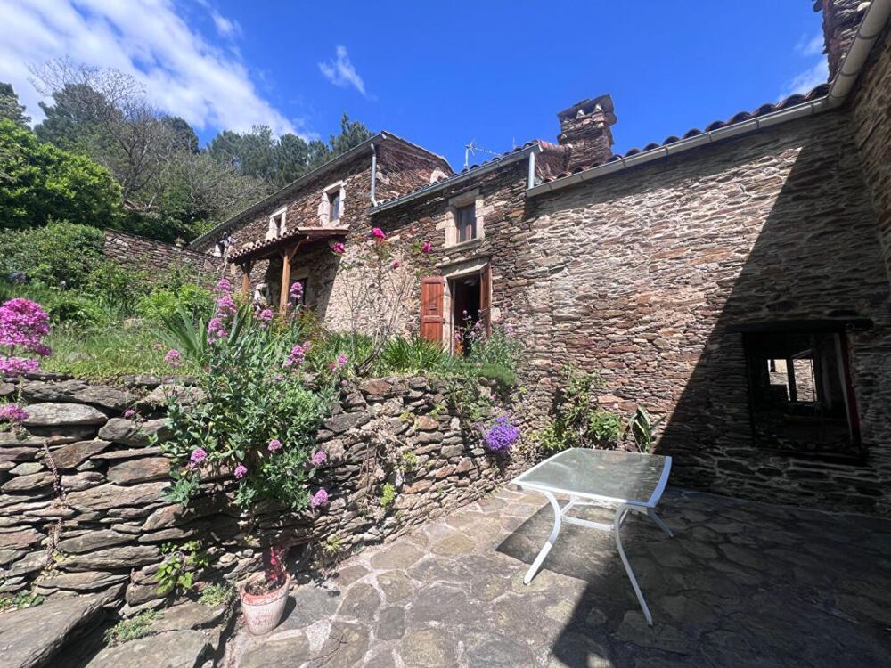 Mas de charme avec gîte et piscine