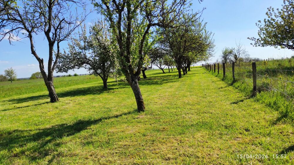 Vente Terrain Très joli terrain plat constructible. Sainte-menehould