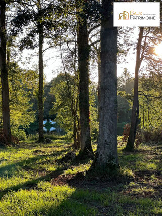  Terrain  vendre 2316 m