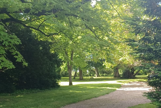  Maison à vendre 15 + pièces 530 m²