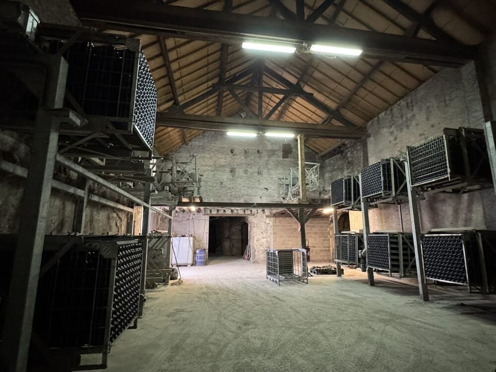 Vente Immeuble Immeuble Montlouis-sur-Loire Montlouis-sur-loire