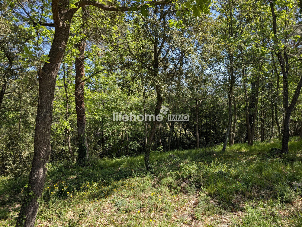 Vente Terrain Terrain Agricole Classé + Bois Le luc