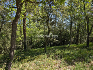 Vente Terrain Terrain Agricole Classé + Bois Le luc