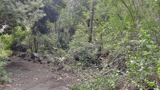 Vente Terrain Magnifique terrain Plat de 600 m² Saint-louis