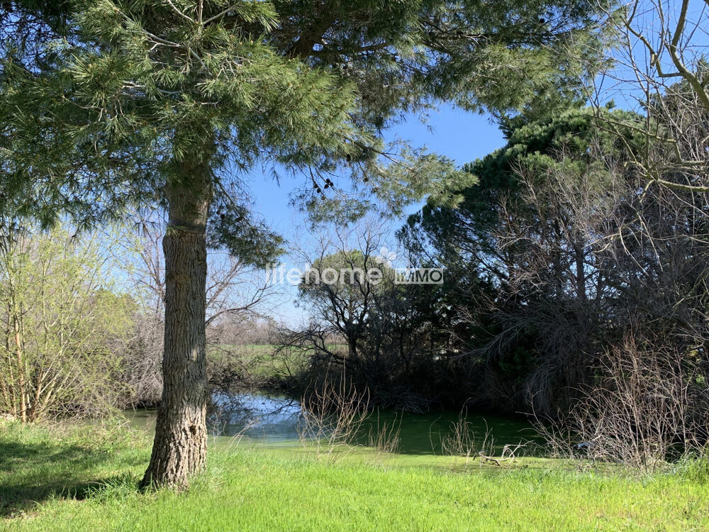 � vendre  Villa Saintes-Maries-de-la-Mer (13460)