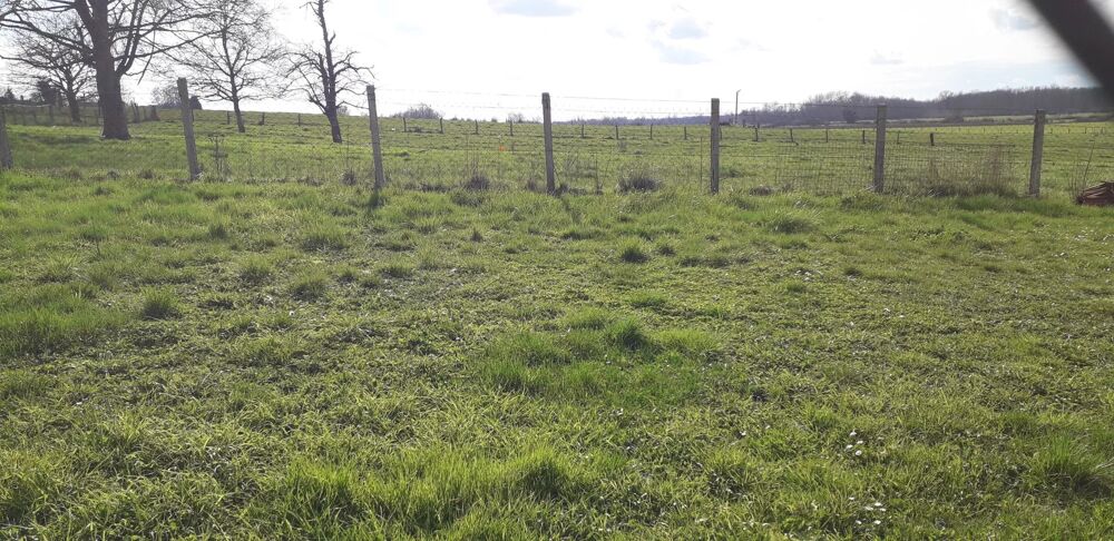Vente Terrain Terrain à bâtir de 1037 m² à Villers-le-Sec Villers-le-sec