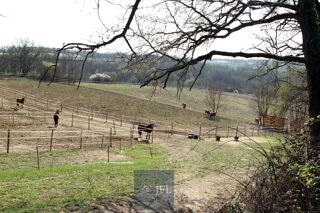  Terrain � vendre 1 pi�ce 100 m�