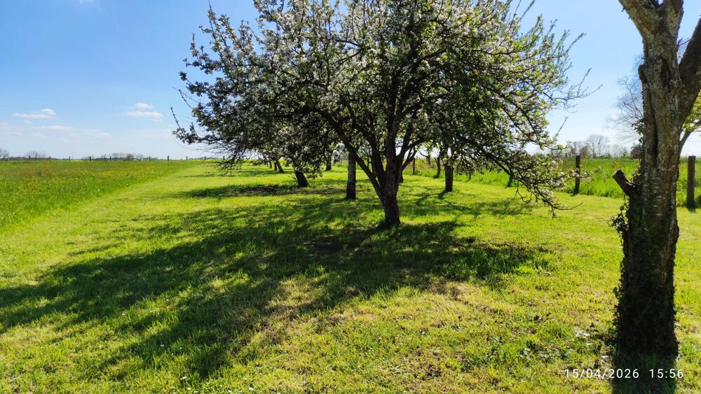 Vente Terrain Terrain constructible avec Garage. Sainte-menehould