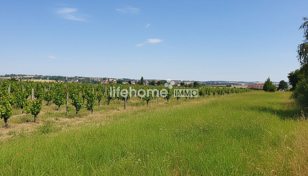 Maison avec vie de plein pied - jardin arboré  Cadre privil?