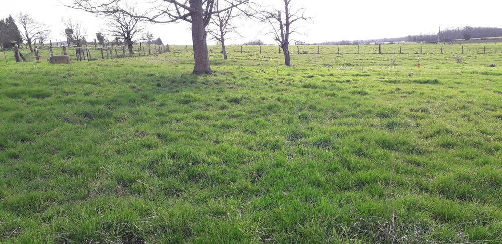 Vente Terrain Terrain à bâtir de 1037 m² à Villers-le-Sec Villers-le-sec