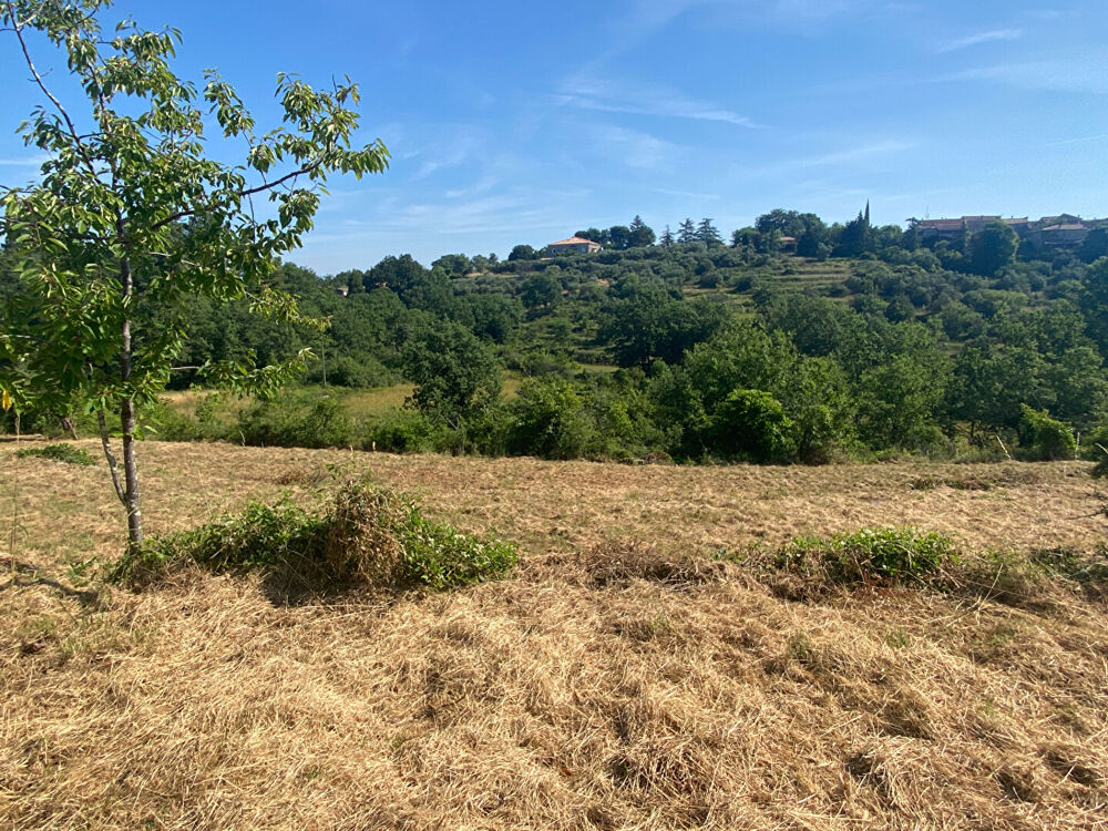 Vente Terrain Terrain - environnement magnifique Saint-paul-le-jeune