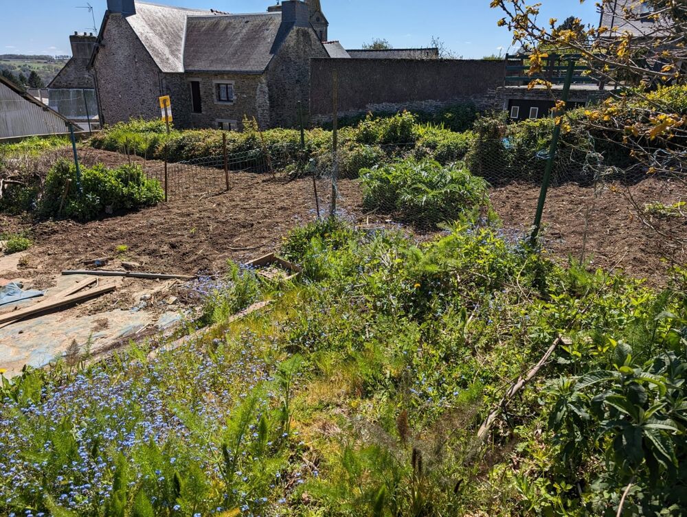 Vente Terrain Centre bourg Merléac