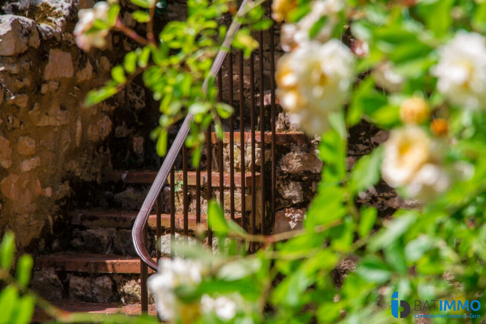 � vendre  Villa Albi (81000)