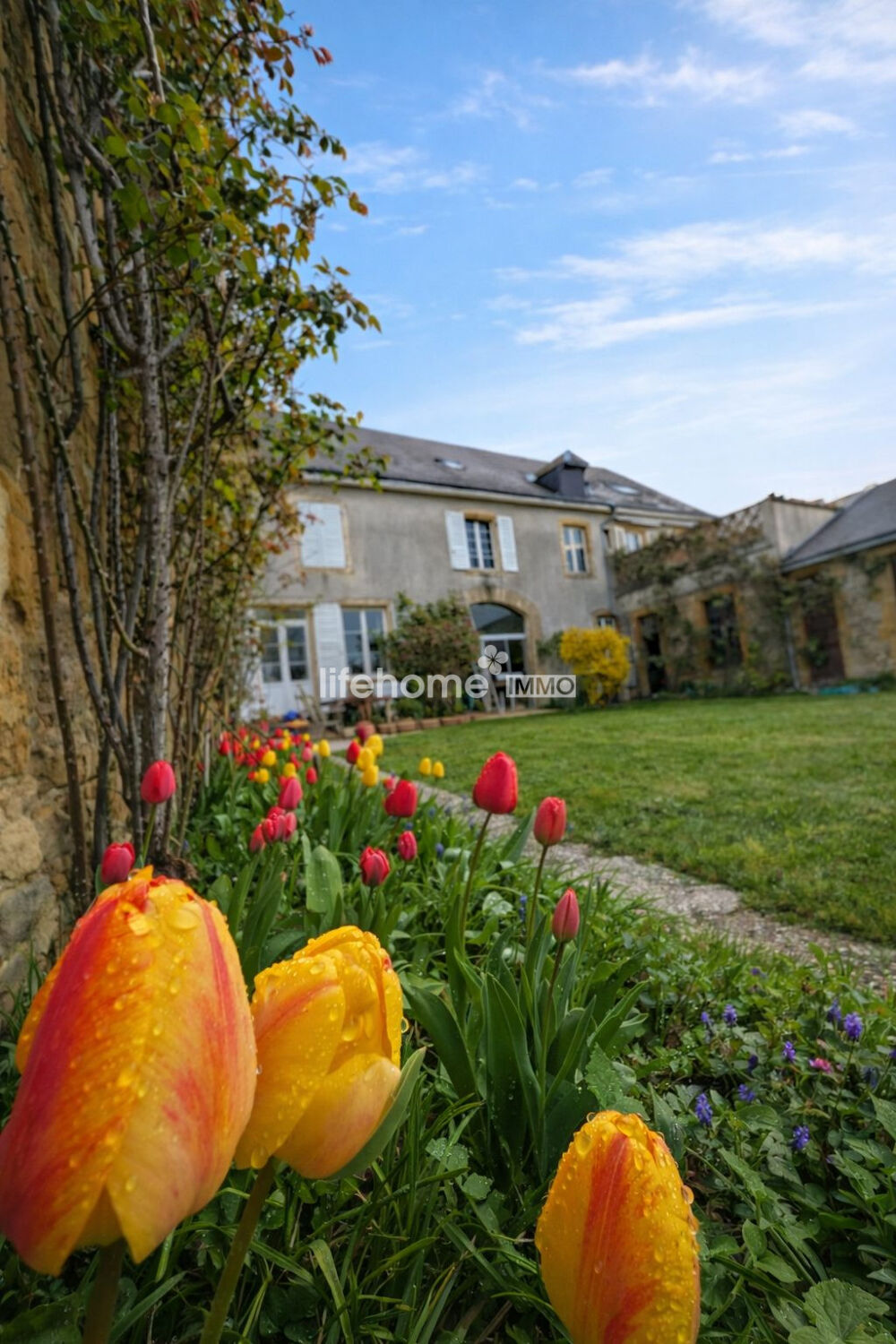 Vente Maison Maison de caractère + local commercial + annexes – Bien rare Balan