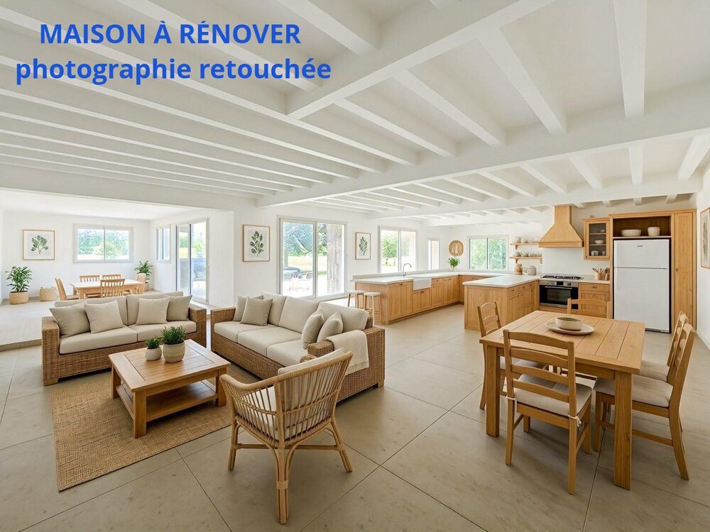 à vendre  Maison Neuillé-Pont-Pierre (37360)