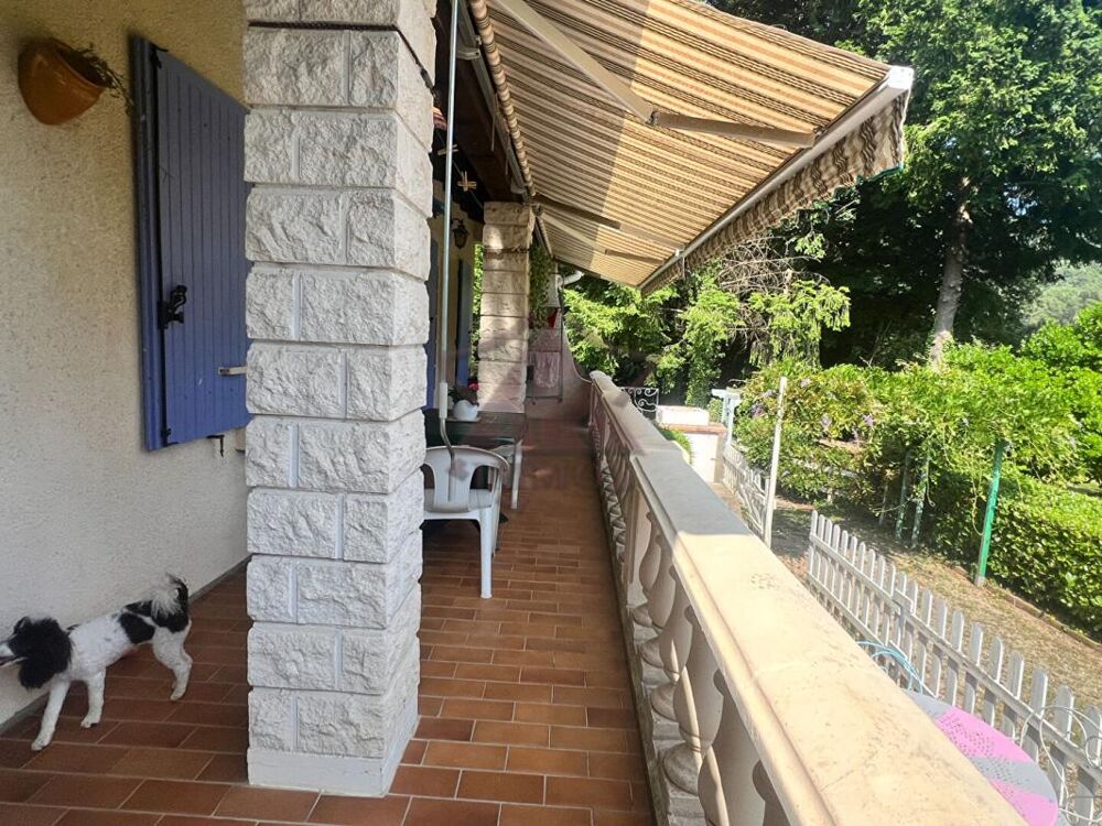 Maison avec grand terrain