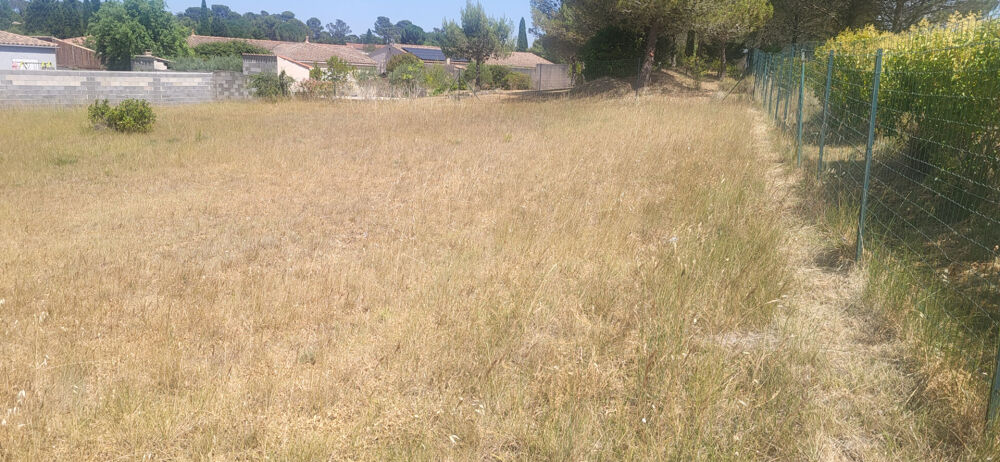 Vente Terrain TERRAIN VIABILISE VILLEMOUSTAUSSOU Villemoustaussou