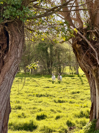  Terrain � vendre 23670 m�