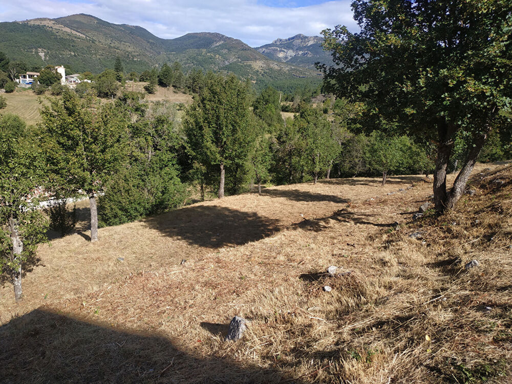 Vente Terrain Vente Terrain 2126 m² à Castellane 69 950 ¤ Castellane