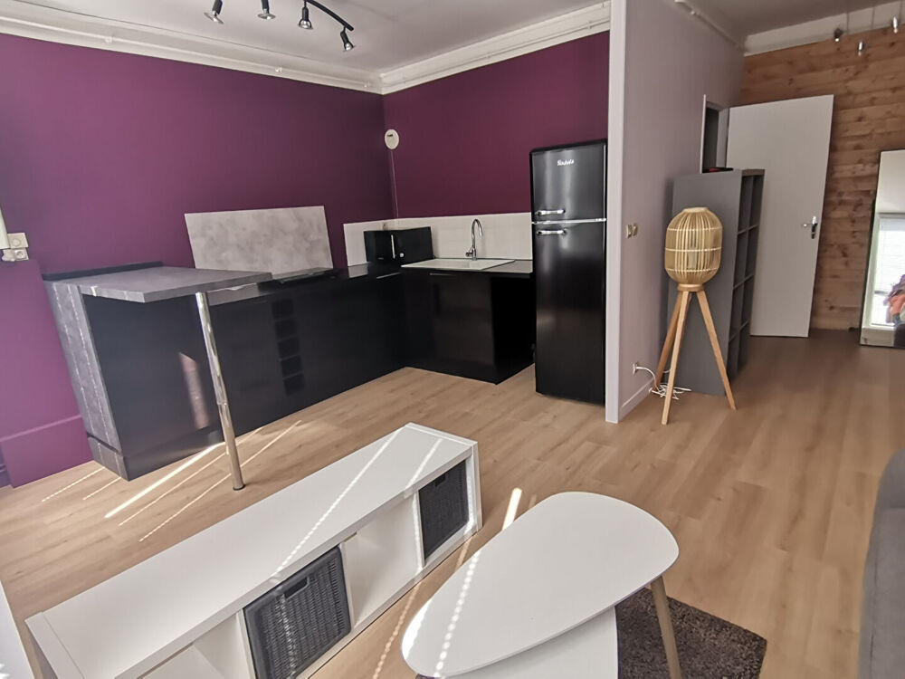 Location Appartement Appartement Saint Etienne 2 pièce(s) Saint-Étienne
