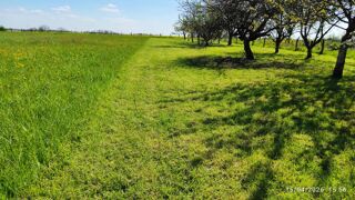  Terrain à vendre 1127 m²