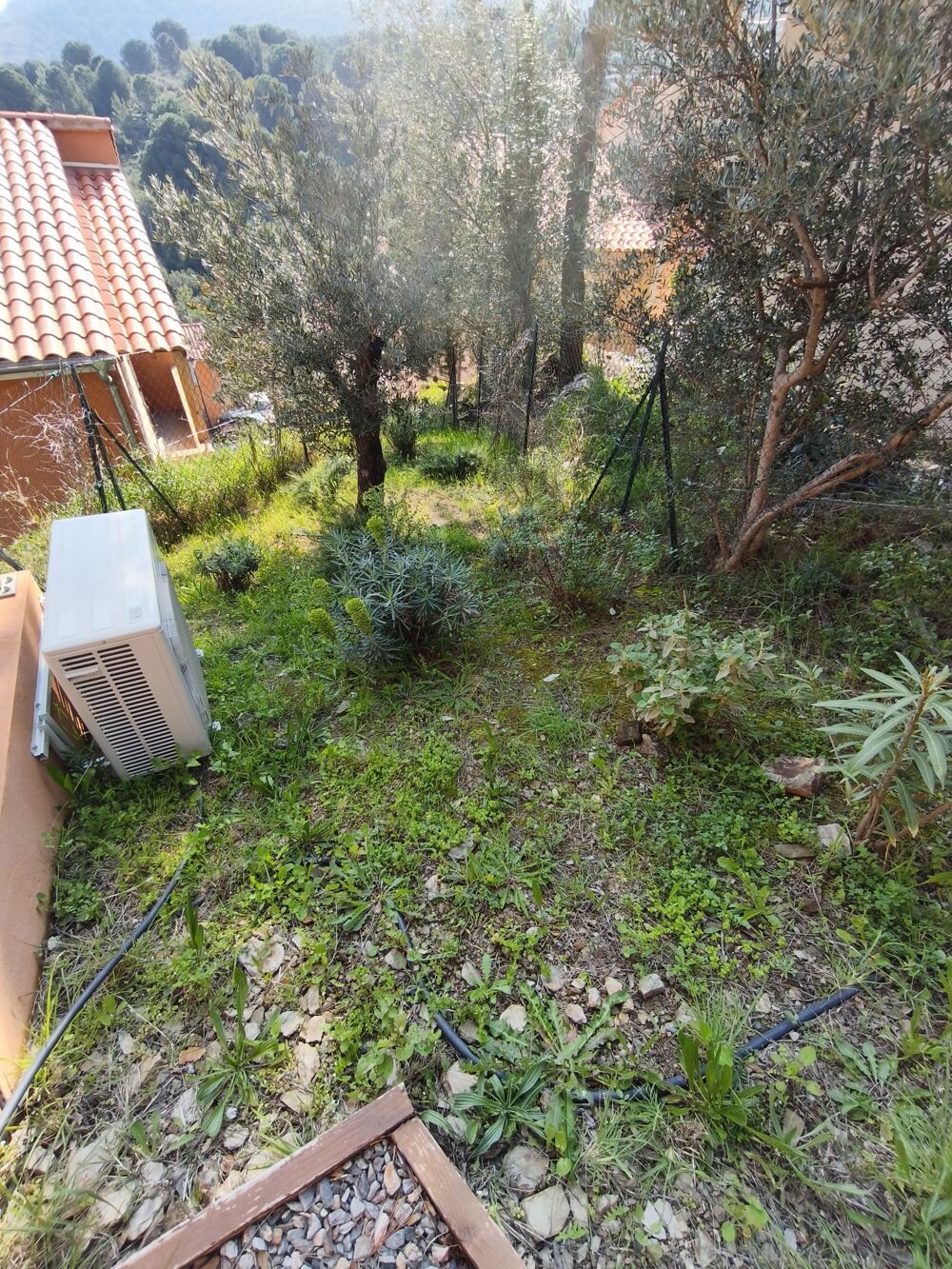 à vendre  Maison Collioure (66190)