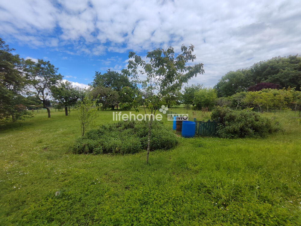 Vente Terrain TERRAIN CONSTRUCTIBLE 3 000 m² – ARDENTES – CALME ABSOLU ? Ardentes