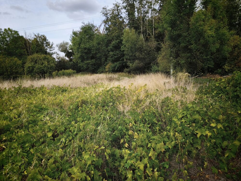 Vente Terrain Terrain constructible VIABILISE de 2370 m². Sermaize-les-bains