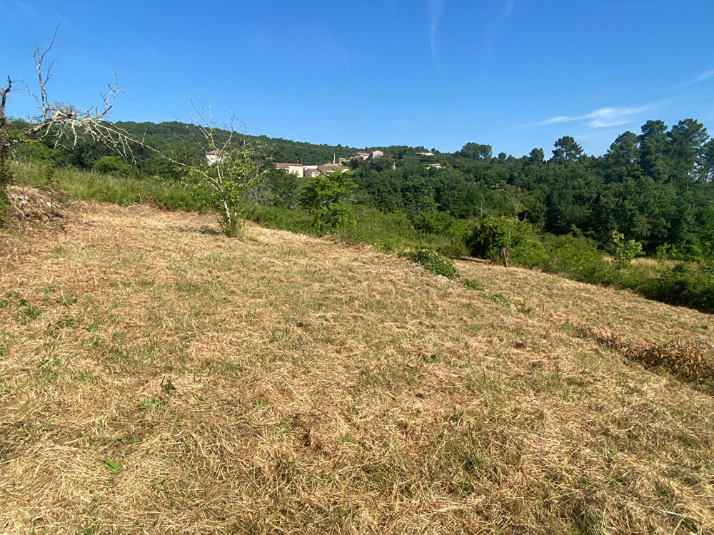 Vente Terrain Terrain - environnement magnifique Saint-paul-le-jeune