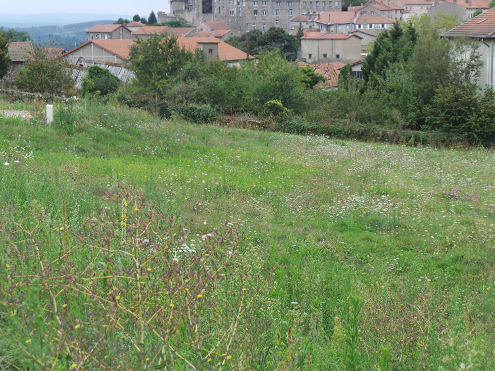 Vente Terrain jolie parcelle  très bien située PROCHE ST MARCELLIN EN FOREZ Saint-bonnet-le-château