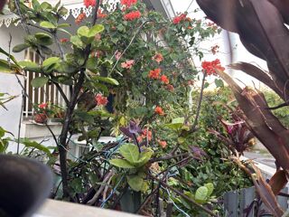  Maison � vendre 6 pi�ces 90 m�