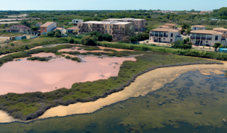  Appartement � vendre 2 pi�ces 47 m�