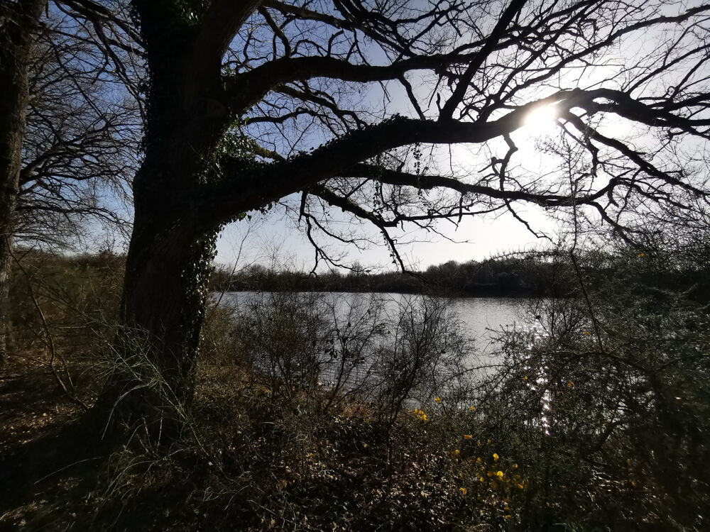 � vendre  Propri�t�/ch�teau Courmemin (41230)