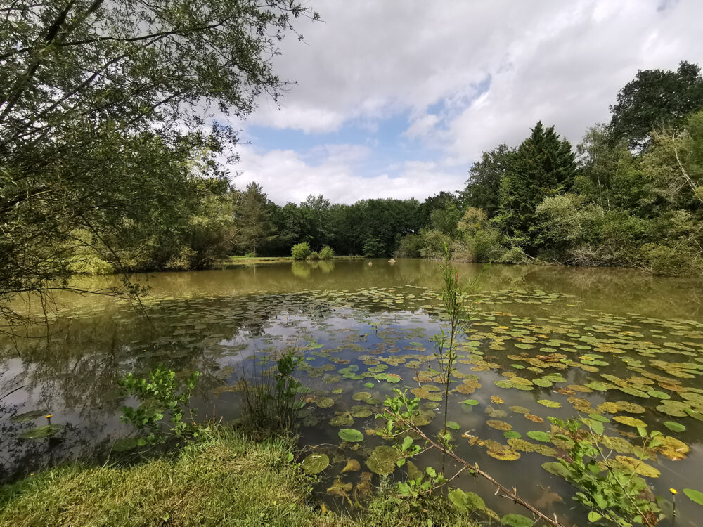 Vente Propriété/Château BELLE PROPRIÉTÉ DE 6.5HA AVEC DEUX ÉTANGS Genouilly