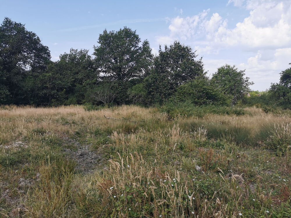 Vente Propriété/Château FERMETTE A RESTAURER DANS UN TRÉS BEL ENVIRONNEMENT Loreux
