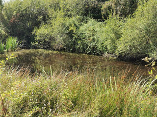  Terrain � vendre 10836 m�