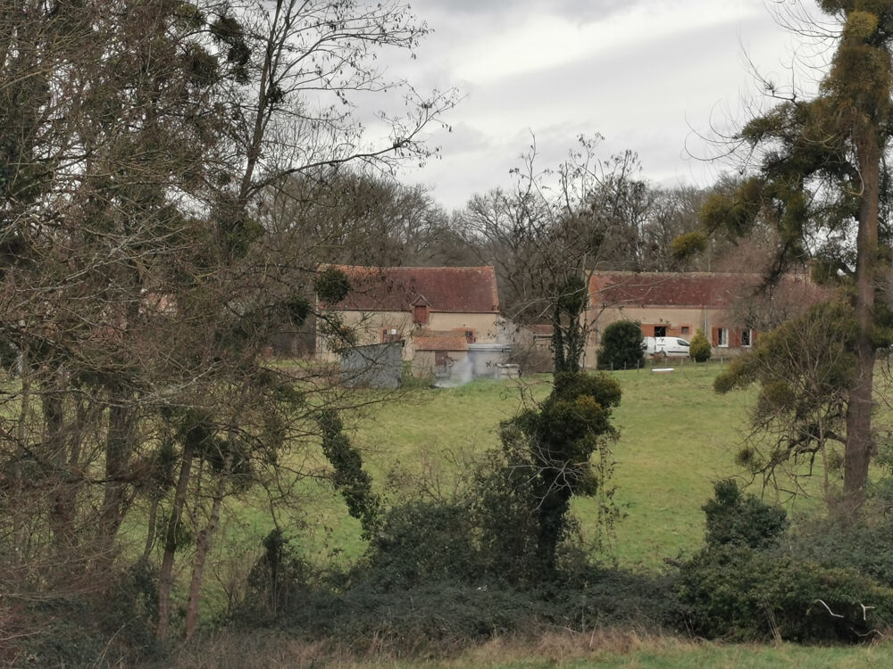 Propriété sur 80ha en Sologne