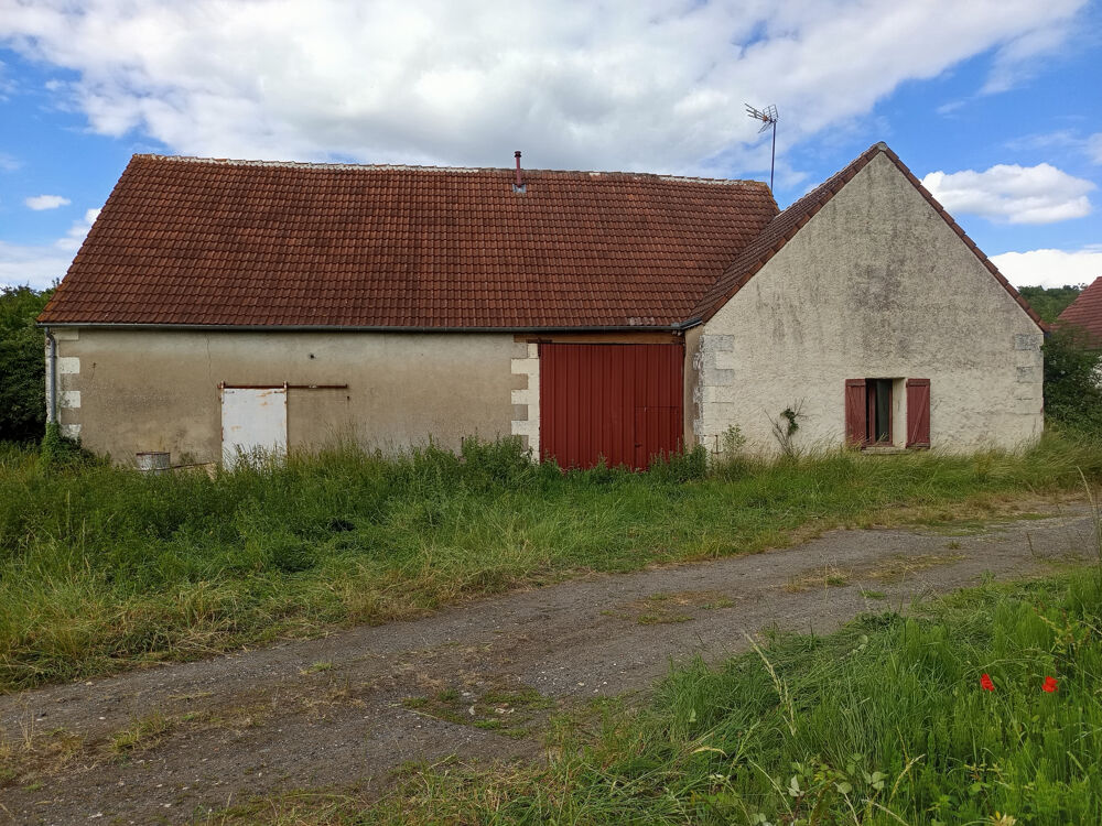 Vente Ferme FERMETTE SUR 6320M2 DE TERRAIN Pruniers en sologne