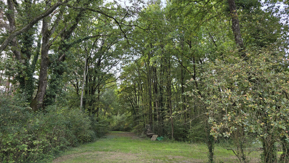 Vente Propriété/Château Maison et Gîte Langon
