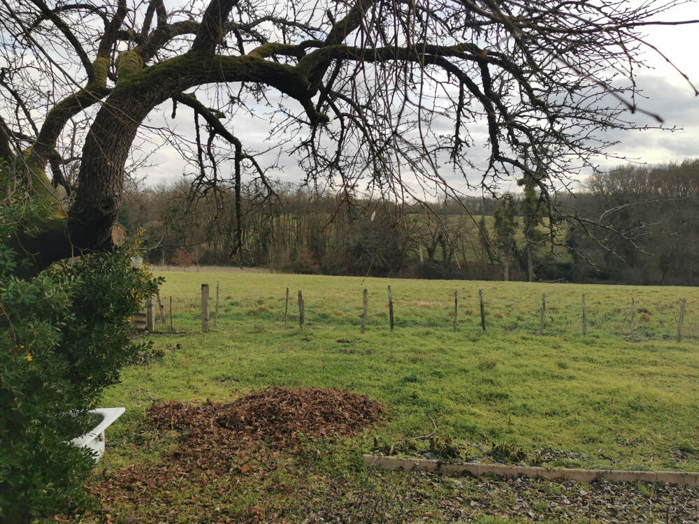 � vendre  Propri�t�/ch�teau Ch�tres-sur-Cher (41320)